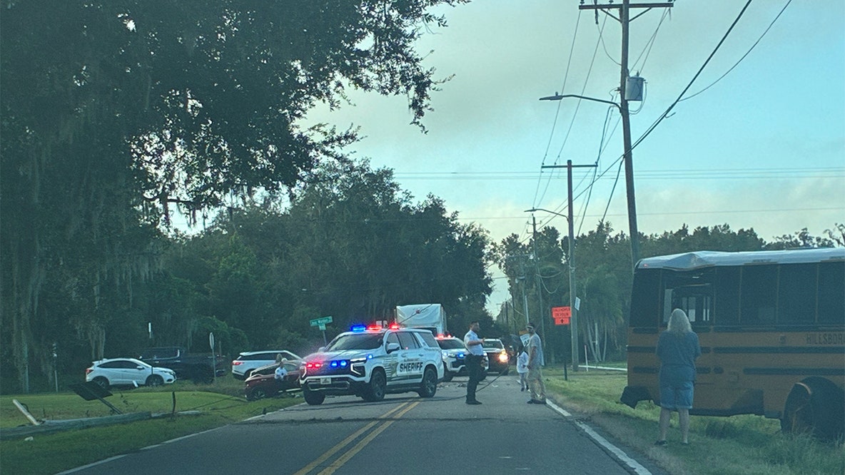 Driver, student hospitalized after vehicle hits school bus near Dover: HCSO