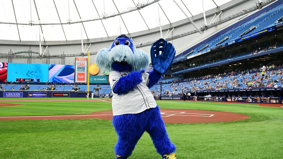 World Series: Meet Raymond, the Tampa Bay Rays mascot