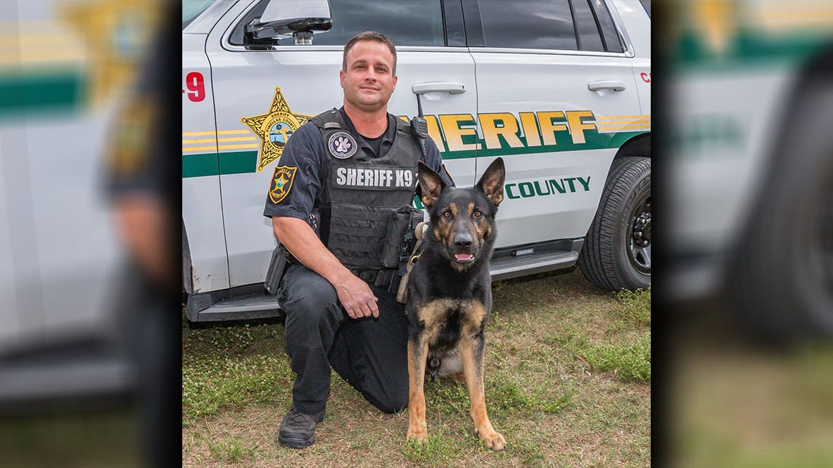 Pinellas County K9 Logan passes away after sudden cancer diagnosis
