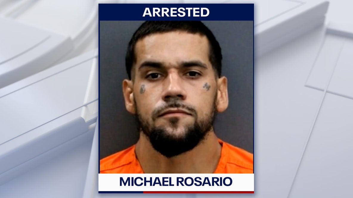 Driver faces fentanyl trafficking charge after Hillsborough County traffic stop, deputies say