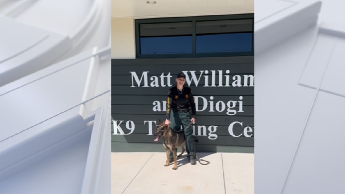 Polk County K9 Ace’s handler gets replacement after line-of-duty shooting: Meet K9 Vader