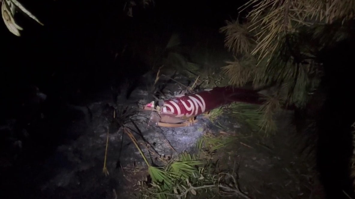 Pilot killed in Myakka City helicopter crash identified