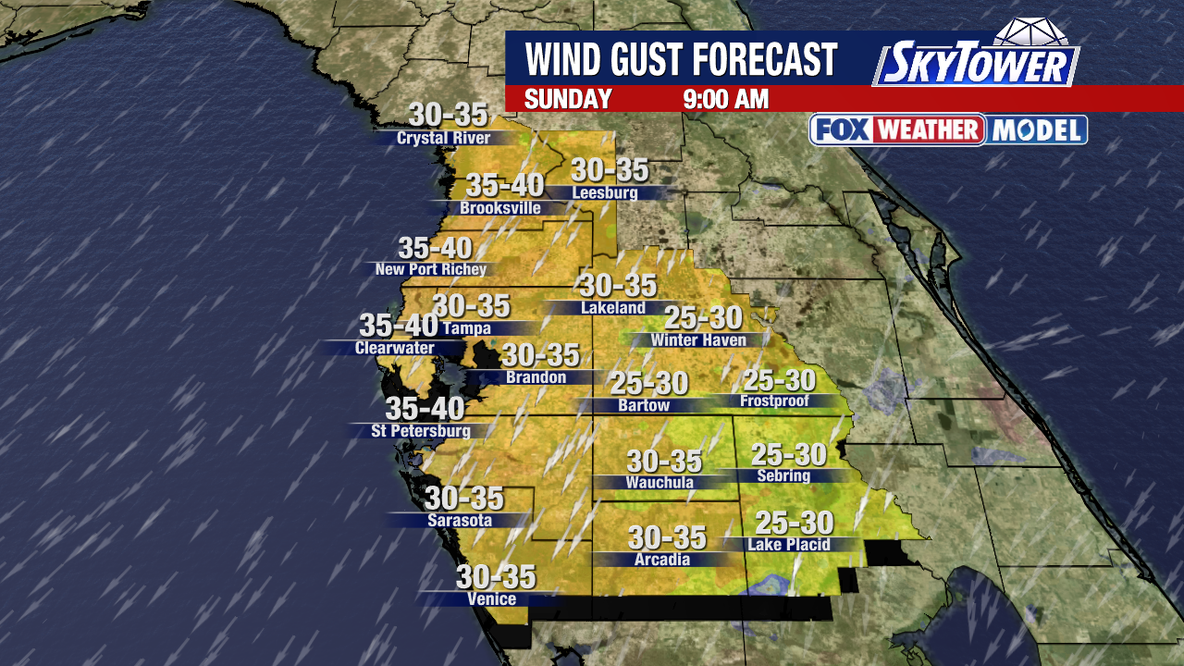 Tampa weather: Windy weekend in store for Bay Area