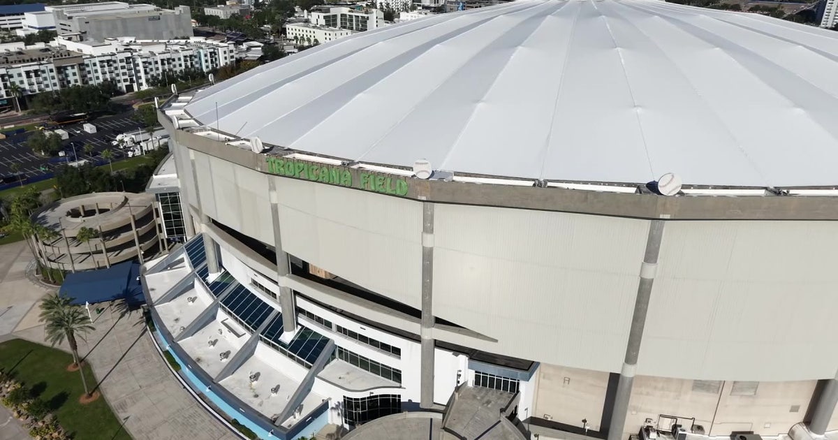 World Series ticket scams: Tampa Bay Rays fans warned of fake postseason passes