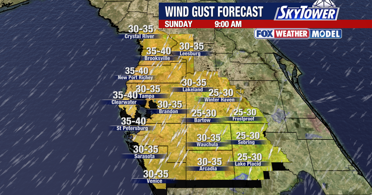 Tampa weather: Windy weekend in store for Bay Area