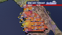 Tampa weather: Breezy winds and marine advisories continue