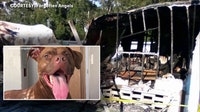 Largo man forced to start over after losing RV, belongings and dog in fire