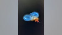 Photos: SpaceX CRS-35 launch creates 'space jellyfish' over Bay Area