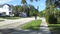 St. Pete police shoot, kill pet dog that attacked dying owner in road: SPPD