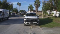 Port Richey dog attack leaves woman with life-threatening injuries