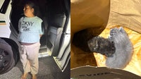 Florida woman buried cats alive believing they were demons: MCSO