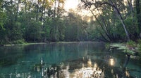 Couple finds unresponsive man hanging onto float in middle of Florida spring: CCSO