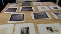 USF, HCSO preserve decades of records tied to Tampa's Trafficante crime family