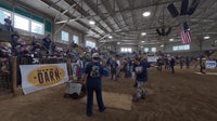 Polk County adaptive rodeo brings joy, inspires bigger mission to help families