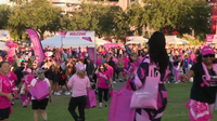 Sea of pink fills Raymond James Stadium for annual 'Making Strides Against Breast Cancer' walk