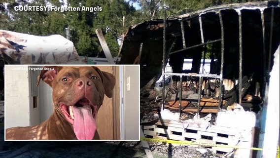 Largo man forced to start over after losing RV, belongings and dog in fire