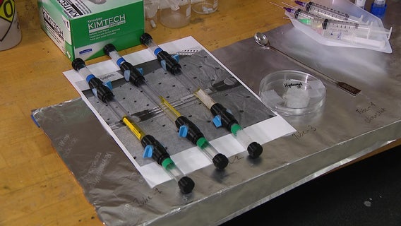 USF students to send wound-healing hydrogel experiment to International Space Station