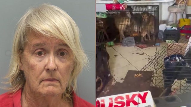 Florida woman arrested after 30 dogs, disabled man found living in ‘inhumane’ conditions: LCSO