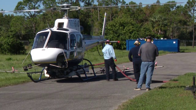 Hillsborough County dengue outbreak prompts statewide mosquito-spraying effort