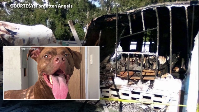 Largo man forced to start over after losing RV, belongings and dog in fire