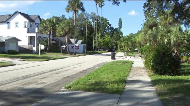 St. Pete police shoot, kill pet dog that attacked dying owner in road: SPPD