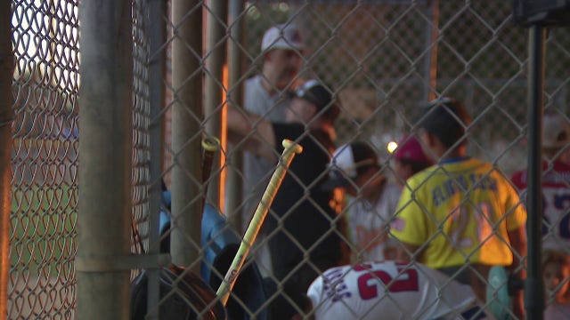 St. Petersburg baseball league builds new generation of Rays fans amid World Series excitement