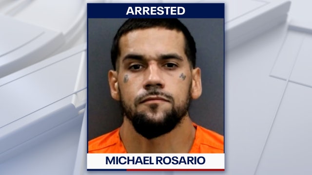 Driver faces fentanyl trafficking charge after Hillsborough County traffic stop, deputies say