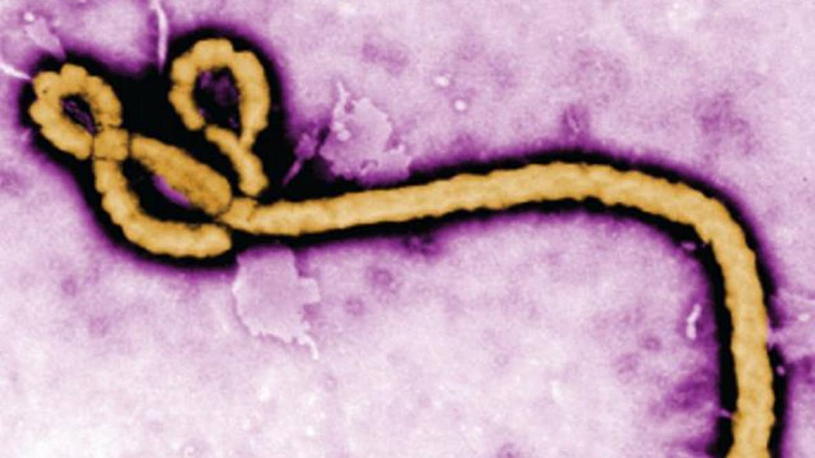 Harris County officials say World Cup events remain low risk amid Ebola monitoring