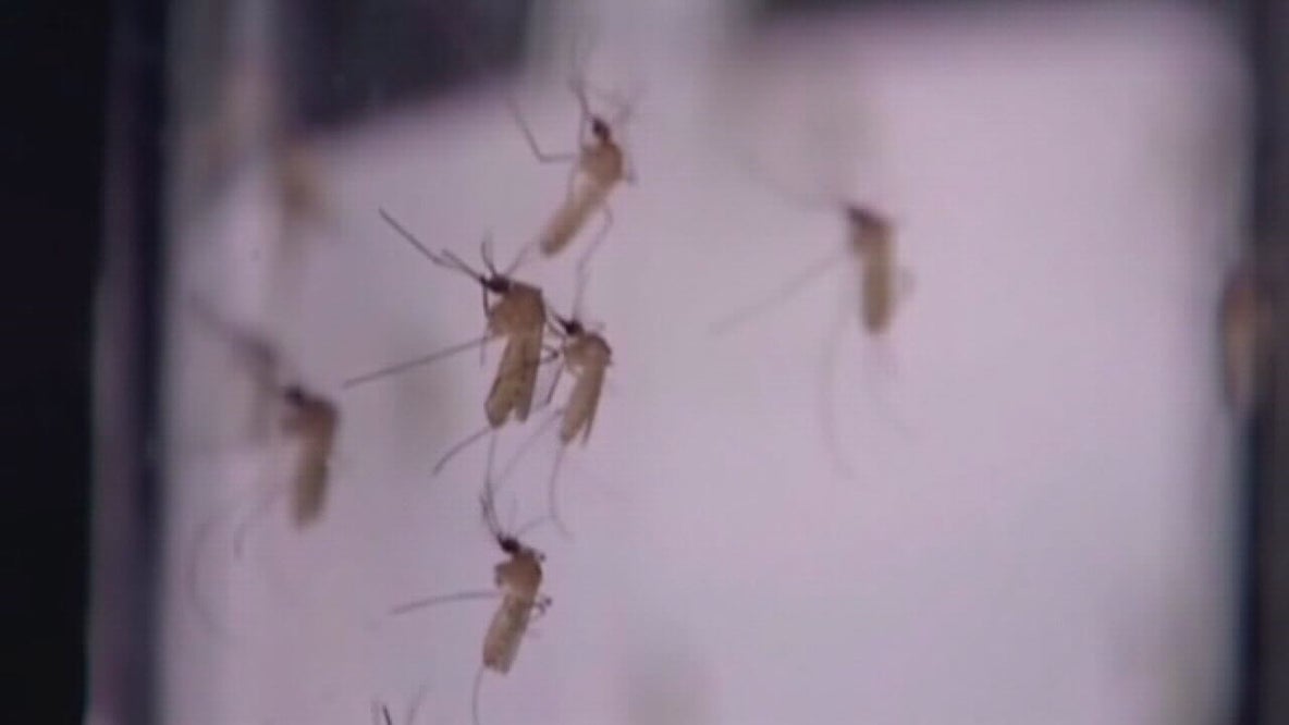 Confirmed case of West Nile Virus reported in Montgomery County