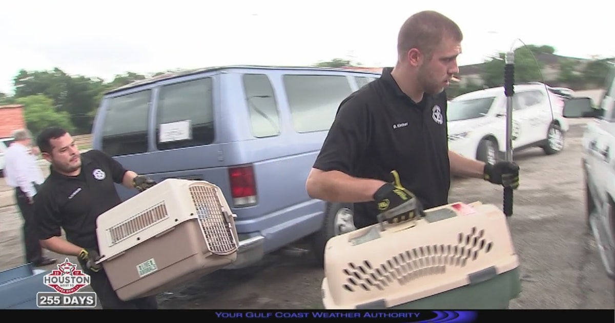 More than 100 animals seized from squatter | FOX 26 Houston
