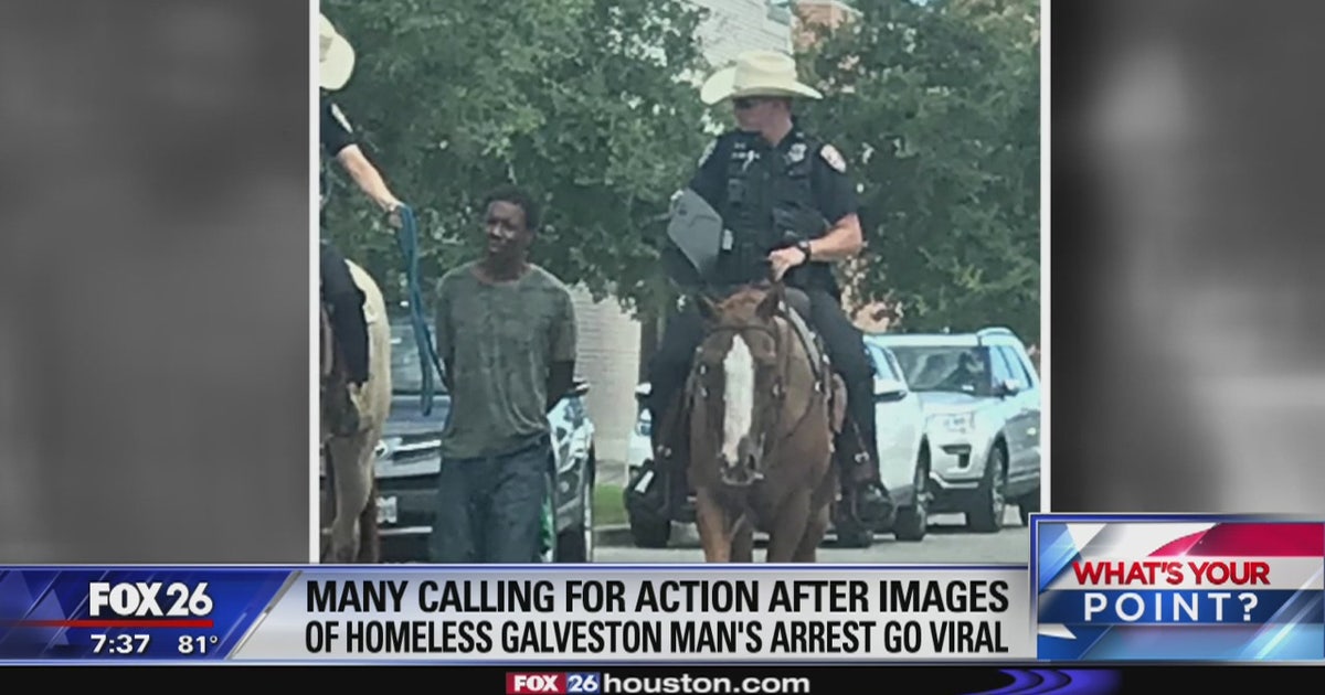 The photo went viral, Galveston police to change protocol for mounted ...