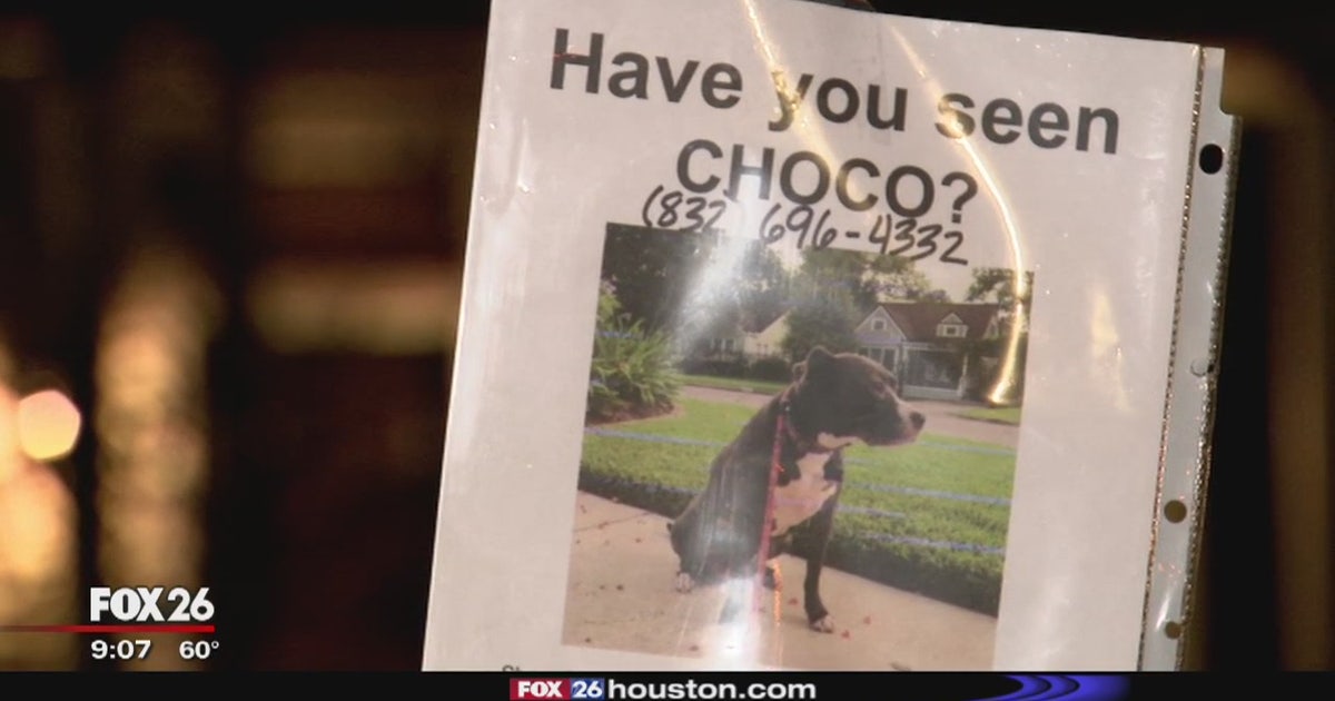 Man shot while walking dog in Houston Heights, dog missing ever since ...