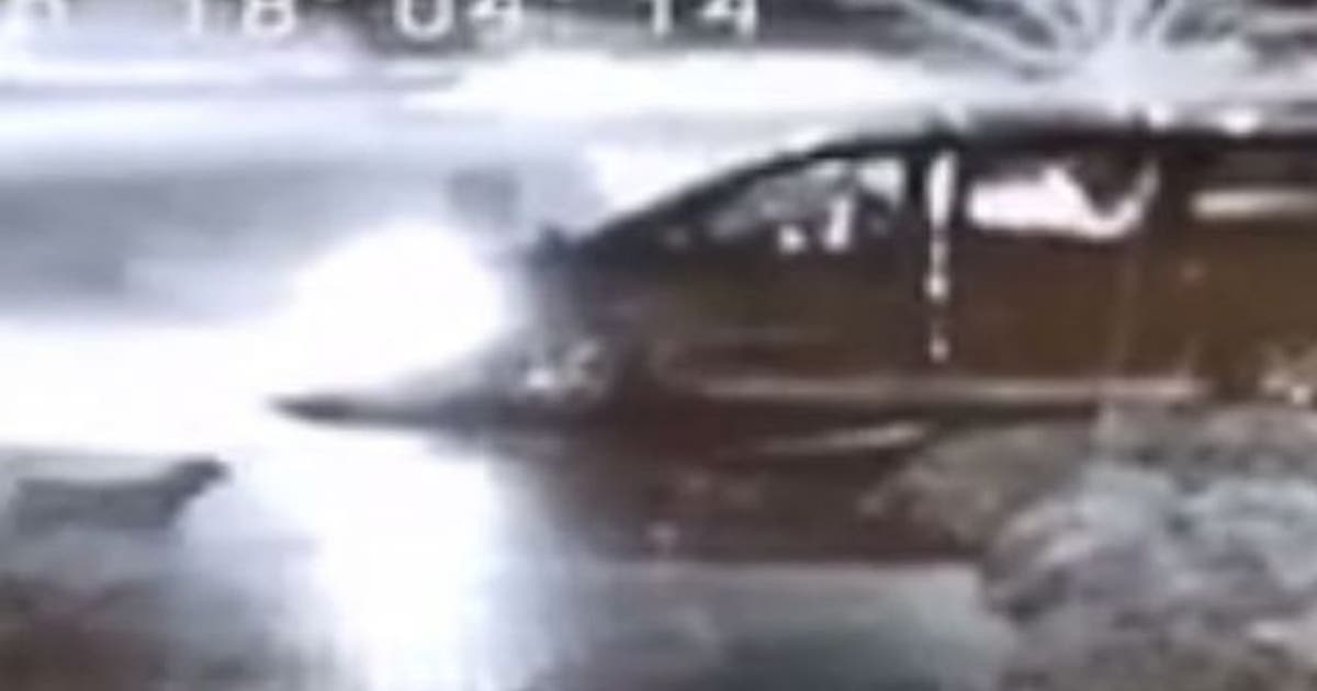 Person who dumped dog hit and killed by car may face charges | FOX 26 ...