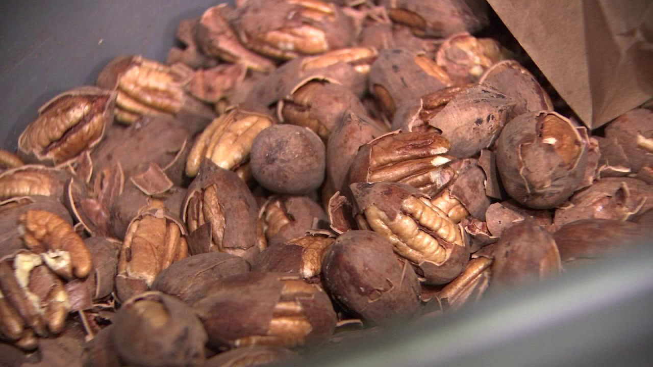 Hurricanes cause pecan shortage, drive up prices