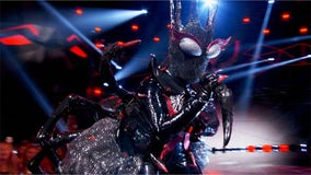 Who is it?: The black widow from Season 2 of ‘The Masked Singer’ belts Carrie Underwood hit