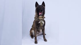 Trump identifies 'Conan,' military dog in Baghdadi raid, says she will visit White House