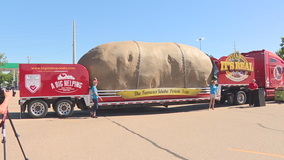 Four-ton potato on wheels hits the highway