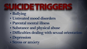 Suicide prevention: Triggering factors for teens