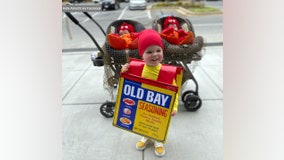 Old Bay and twin crustaceans win Halloween with cute costumes