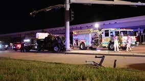 Driver injured, horses killed when truck crashes into pillar