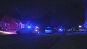 4-year-old girl killed in Michigan go-kart crash