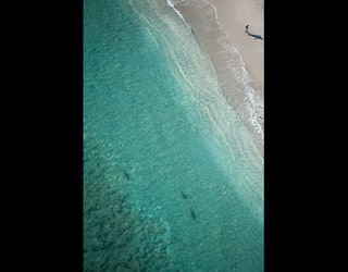 Sharks Migrating Off Coast Of Florida By The Thousands