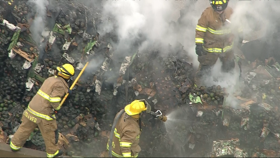 18-wheeler hauling avocados catches fire on I-35E