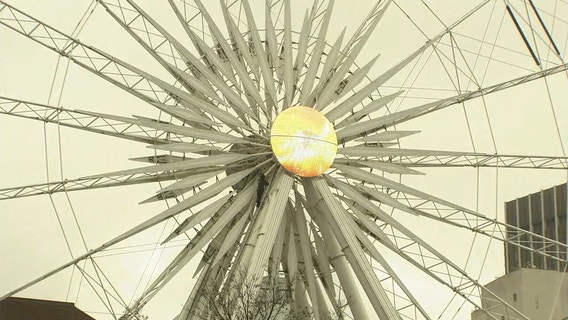 PHOTOS: Falcons Fever reaches epidemic