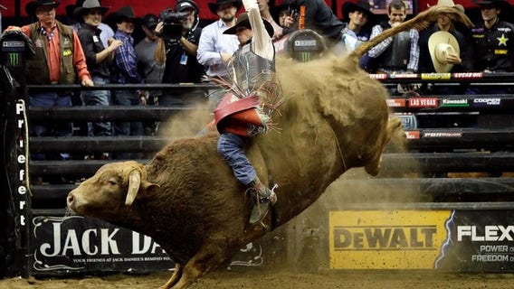 Professional bull rider, 25, dies after being injured at Colorado event