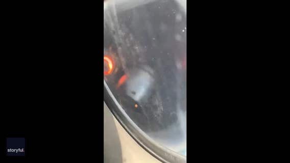 Jet engine's nose cone comes loose during Delta flight