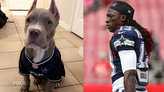 Cowboys WR Whitehead says his dog is being held for ransom