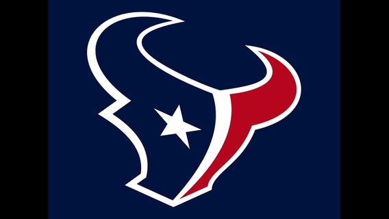 Rookie QB Watson shines in Texans' 27-17 loss to Panthers