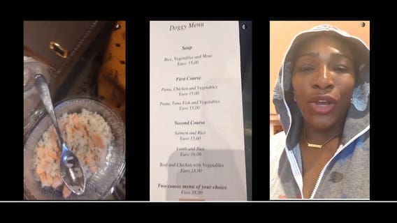 Serena Williams gets sick after eating dog food