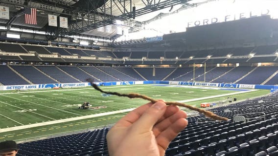 Man finds Falcons player's dreadlock at Ford Field, tries to sell it on eBay